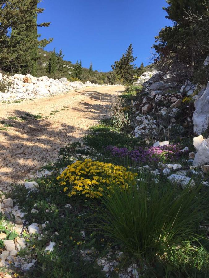 Apartman Ella Peracko Blato المظهر الخارجي الصورة
